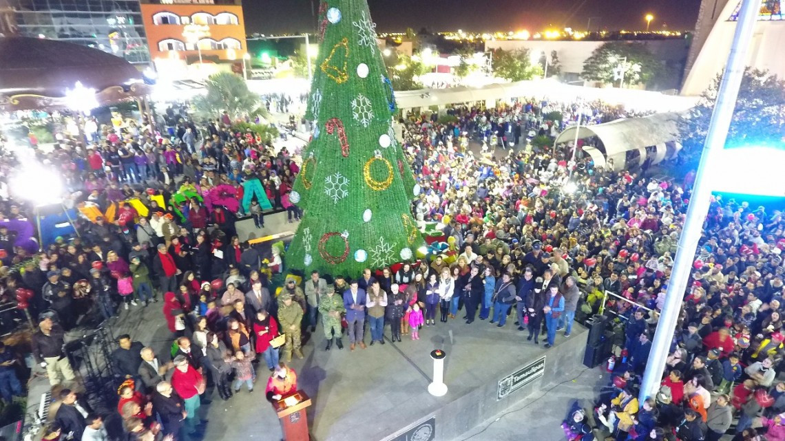 Niños encienden junto con alcaldesa Pino Navideño