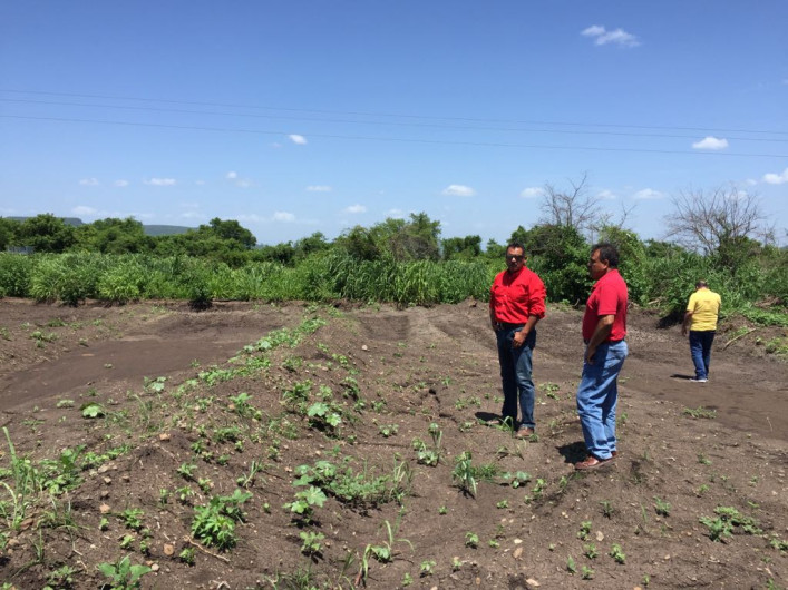 A punto de iniciar la construcción de la Sala de Extracción de Miel en Llera