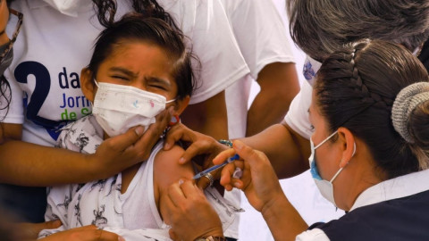900 mil tamaulipecos serán vacunados contra la influenza