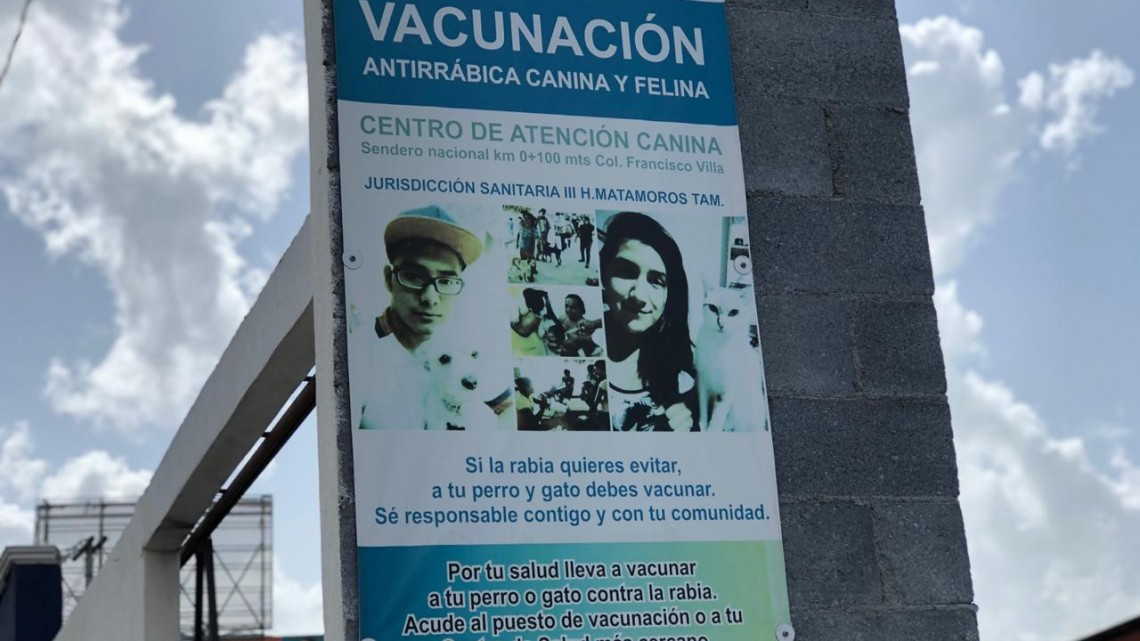 Aumenta hasta en un 60% plagas de garrapatas