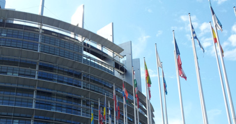 Eurocámara valorará situación de venezolanos en Brasil y Colombia