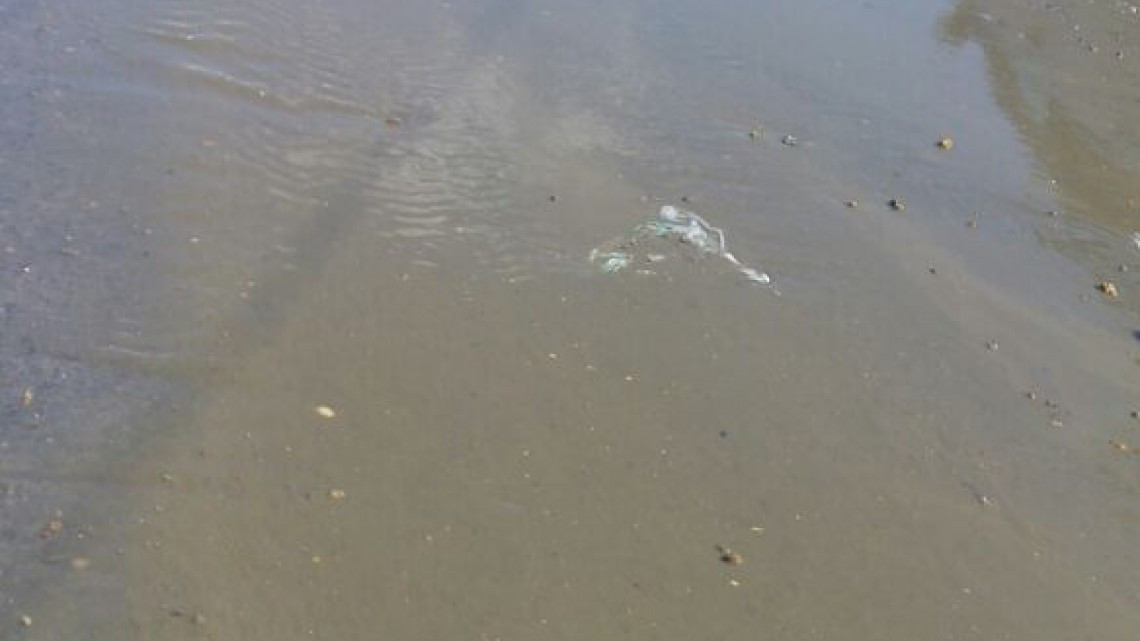 COMAPA limpia y repone servicio de drenaje en Jarachina Norte