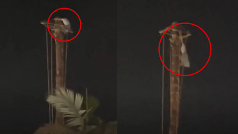 ¿Voladora improvisada? Turista ebria escala mástil de Cuetzalan y amenaza con lanzarse