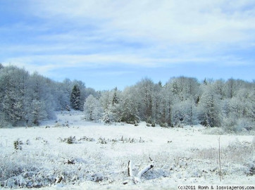  Rescata a 15 migrantes en zona montañosa de Croacia