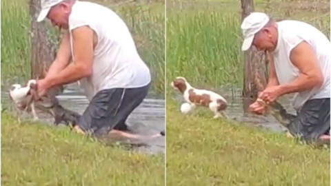 Hombre lucha con cocodrilo para rescatar a su perro