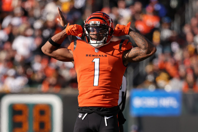 Los Bengals se consagran campeones de la AFC Norte