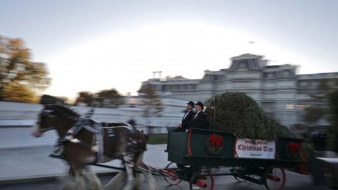 El primer árbol navideño de la familia Trump en la Casa Blanca