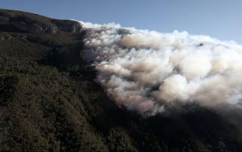 Incendio entre Coahuila y Nuevo León deja hasta el momento afectaciones en 7 mil hectáreas de bosque