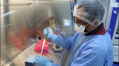 Estados Unidos advierte sobre un rebrote de la Viruela del Mono