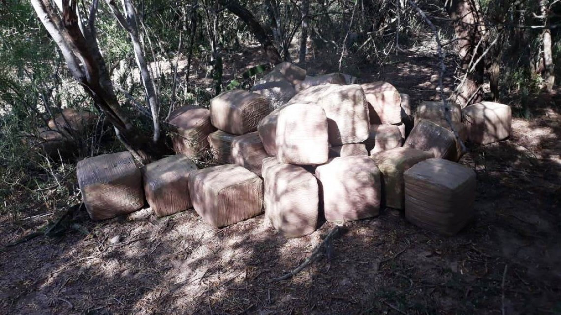 Asegura Policía Estatal 235 kilogramos de Marihuana