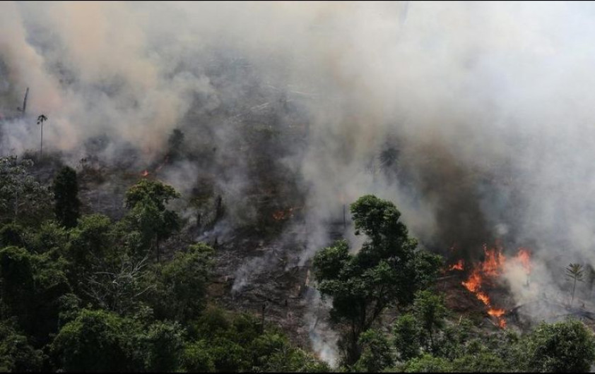 Chile ofrece su ayuda para combatir el incendio en el Amazonas