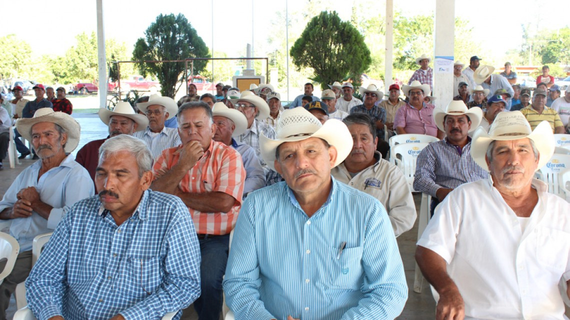 Entregan fertilizante granulado a citricultores de Padilla e Hidalgo