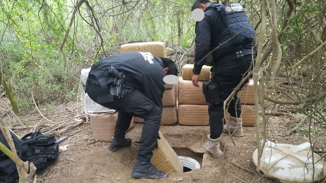 Policía Estatal asegura marihuana 