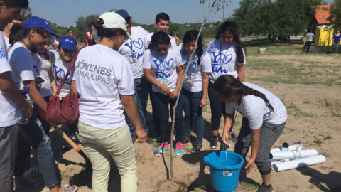 Crean jardín polinizador, ayudará a mariposas monarca