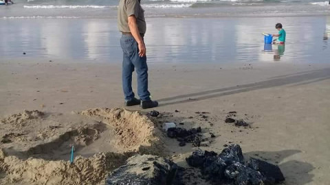 Investigan origen de rocas de chapopote encontradas en Miramar