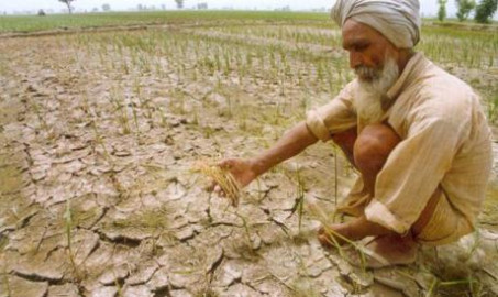 Suicidios en granjeros aumenta por calentamiento global