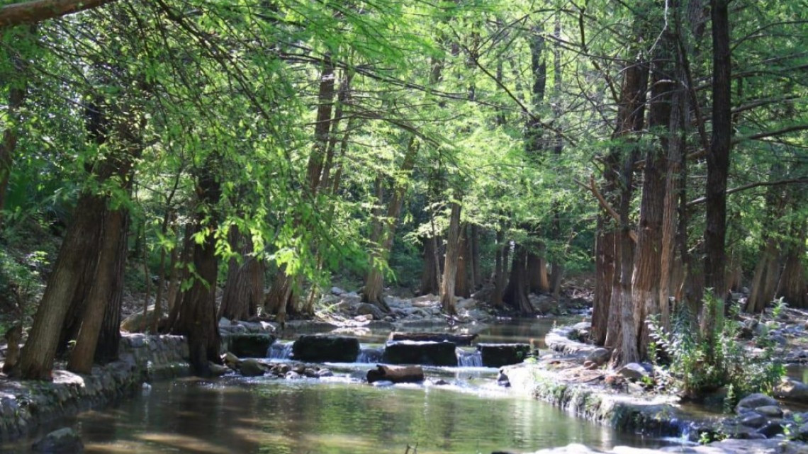 Con medidas sanitarias Victoria recibe a paseantes