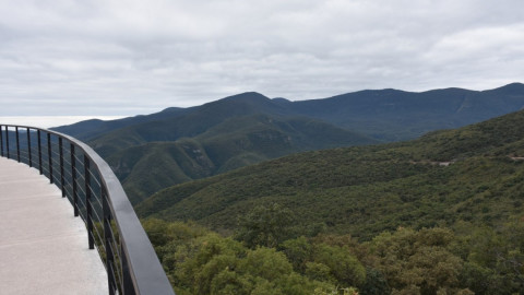 Esperan destinos de Tamaulipas 300 mil visitantes en próximo puente vacacional
