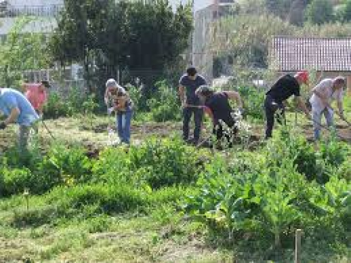 Impulsa Gobierno Municipal los huertos urbanos