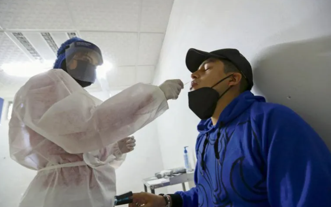 Sin rastro claro el probable origen del COVID-19: OMS