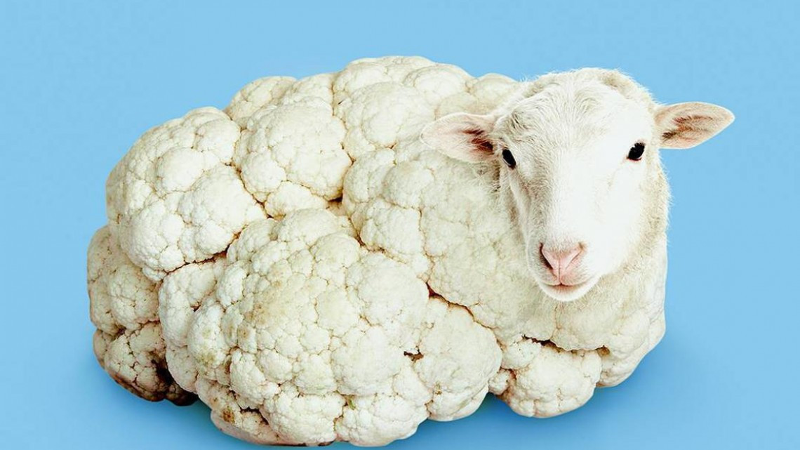 13 imágenes que engañarán a tu cerebro