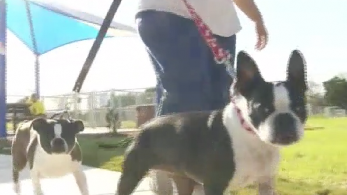 Inauguran parque para perros en Mission