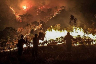 Alerta roja por incendio en reserva forestal chilena