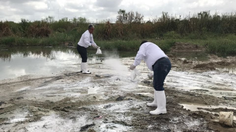 Continúa la COEPRIS con acciones de prevención y riesgos sanitarios