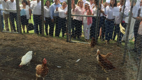 Serán cuidadosos en manejo de recursos públicos en campañas