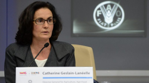 Francia presenta candidatura para dirigir la FAO
