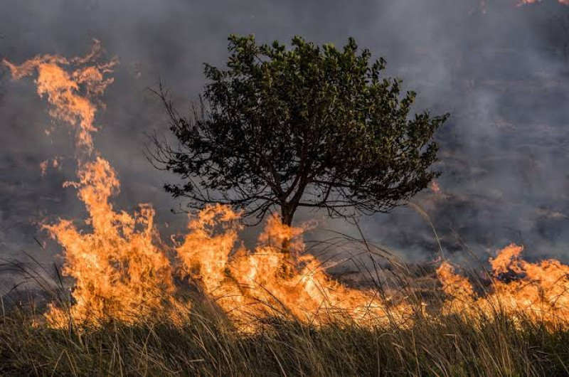 Exhorta Protección Civil a evitar incendios por ola de calor