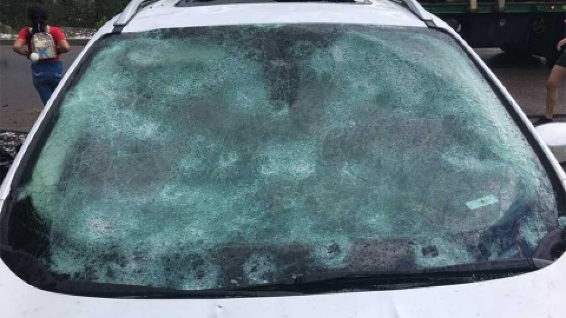 Granizada en EU mata a 2 animales en zoológico