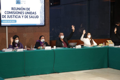 Aprueban comisiones de la Cámara de Diputados dictamen de la Ley Federal para la Regulación del Cannabis