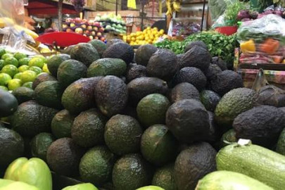 Baja venta de aguacate en el mercado