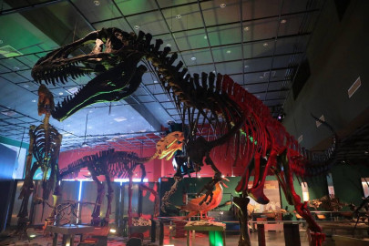 Invitan a una noche en el Museo