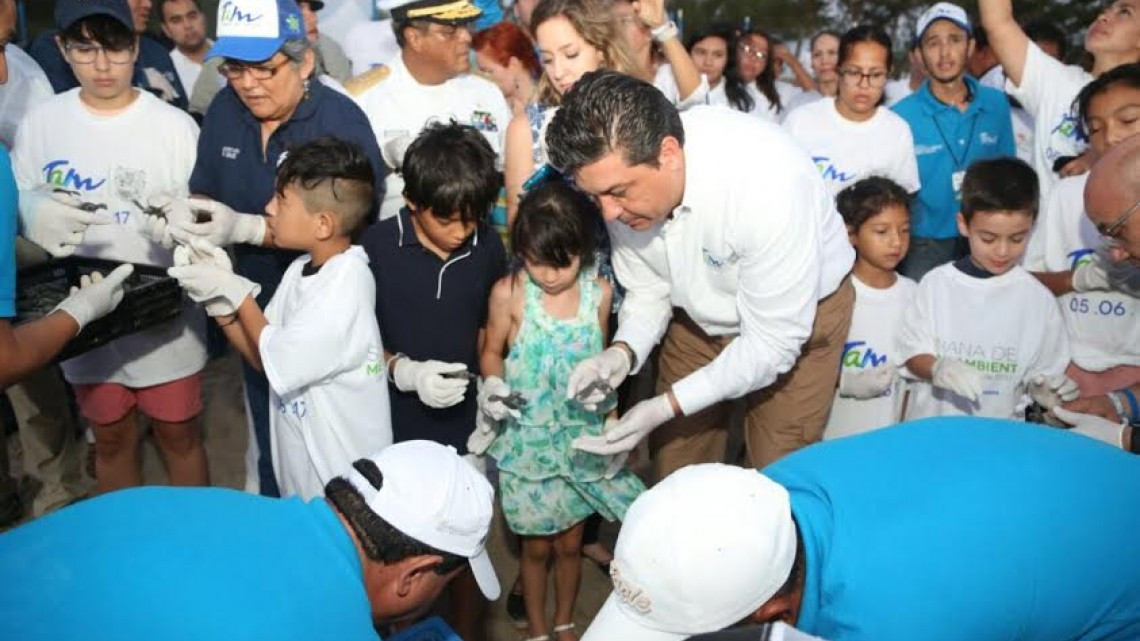 Crías de tortugas lora son liberadas en Soto la Marina