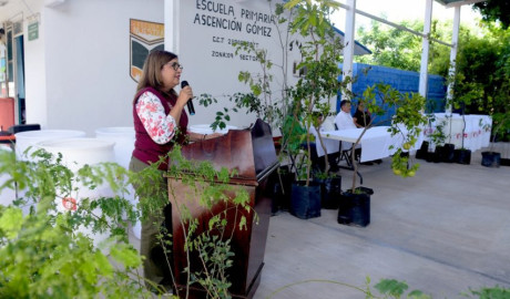 Transforma SEDUMA espacios escolares  como parte de la Agenda Ambiental