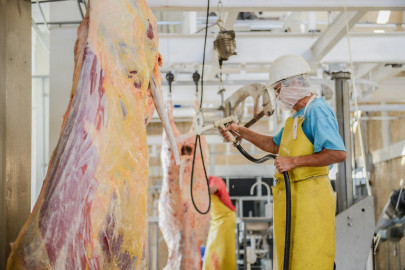 Mejora rastro municipal servicio a ganaderos