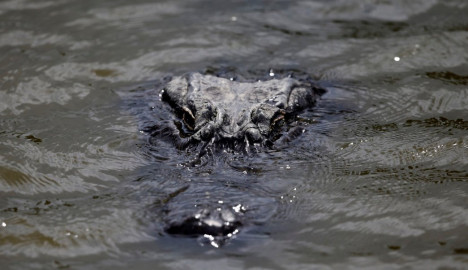Pocas pruebas de presencia de caimanes: PC