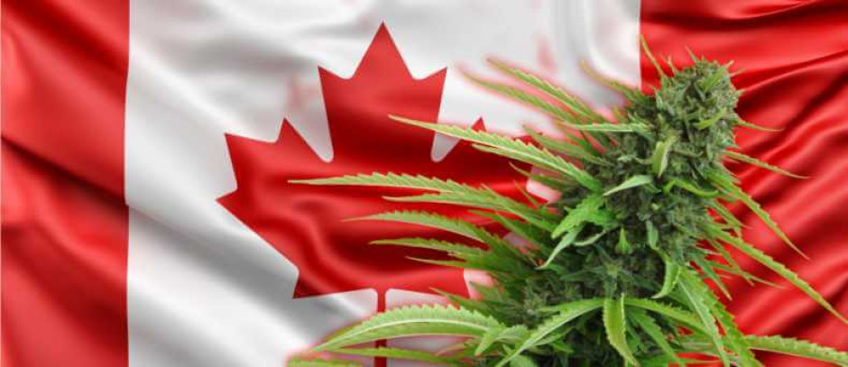 Canadá, primer país del G-7 en legalizar la marihuana recreativa