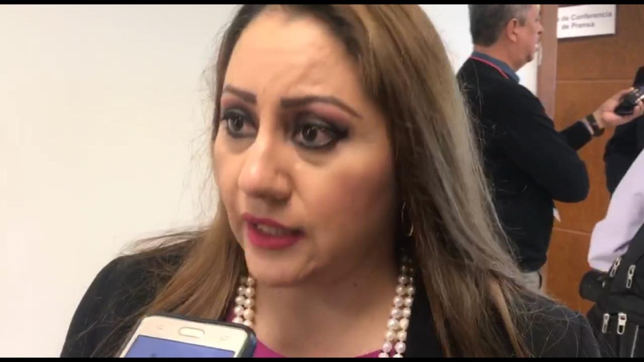 Recortes presupuestales afectan instalación de consejos distritales: INE