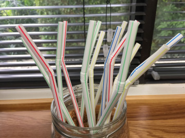 Actual legislatura no se irá sin legislar sobre sanciones a uso de bolsas de plástico y popotes