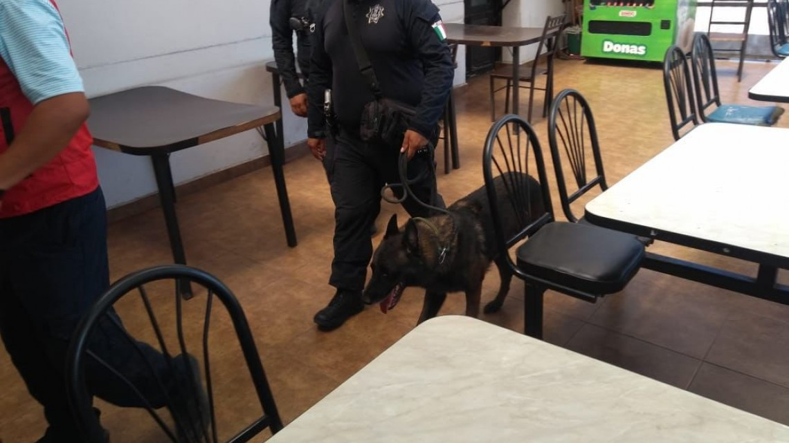 Reportan amenaza de bomba en presidencia de Victoria; PC dice solo fue inspección de rutina