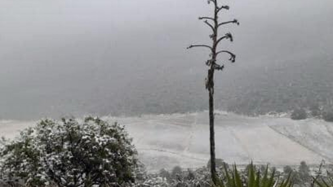 Se registra la primera nevada en Miquihuana
