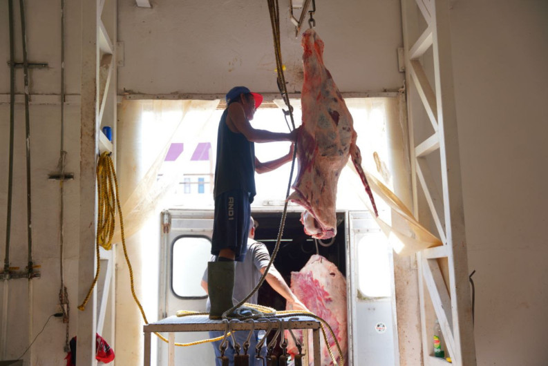 Brinda Rastro Municipial sacrificio de ganado a bajo costo 