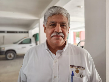 Piden a productores contratar seguros contra daños por cambios de clima  