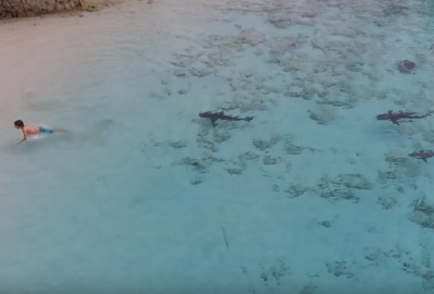 Salvan a niño de cuatro tiburones gracias a dron