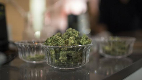 Aprueban exportaciones de marihuana medicinal en Israel