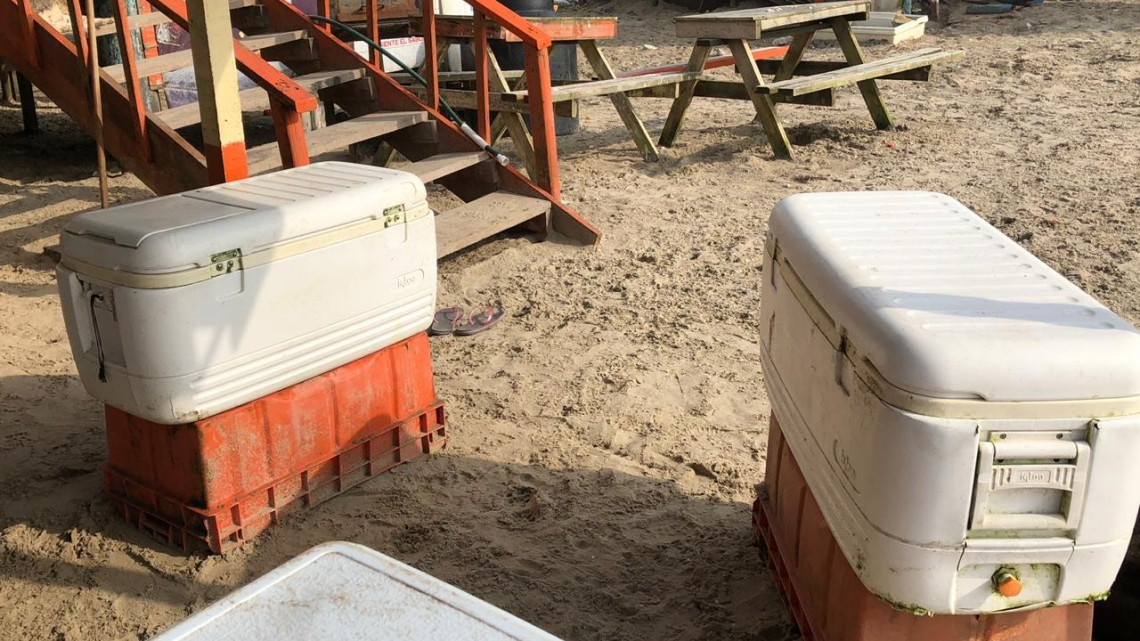 Explotan pescadores contra la empresa “Blanquita” 