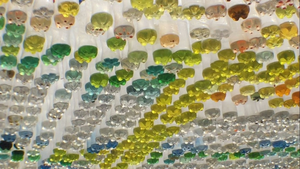 Techo ecológico gana concurso de prototipos de la DGTI